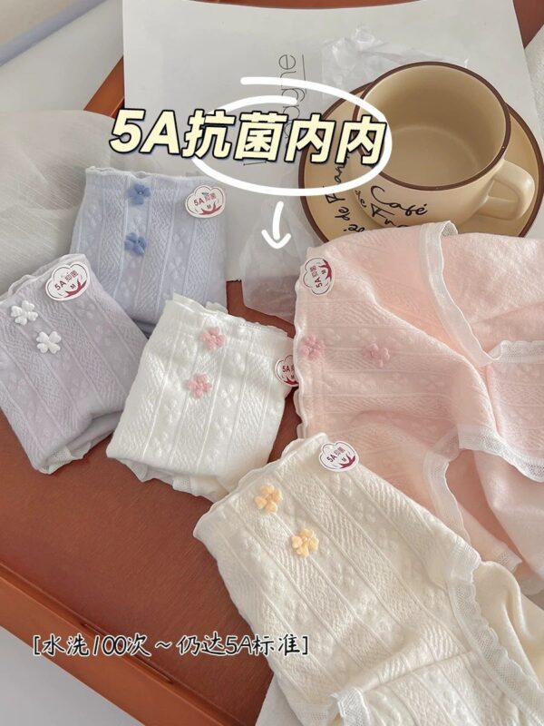 内裤女纯棉5A抑菌 ( 一盒5条装） - Image 2
